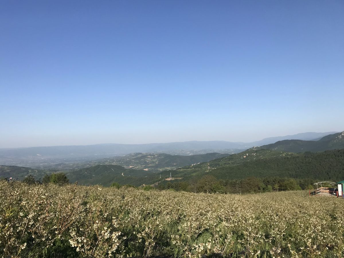 Çiçek döneminde bahçe ve vadi manzarası